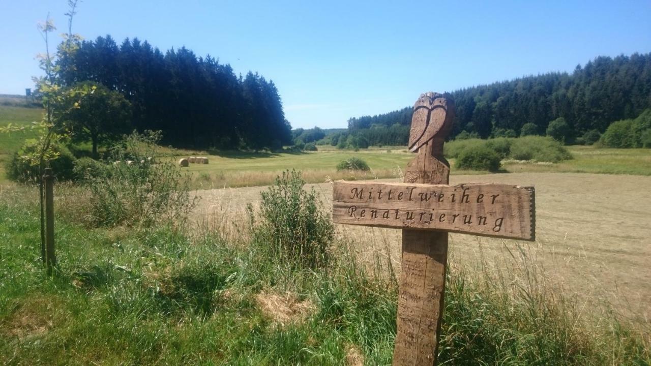 Eifelyeti Ferienwohnung Ellscheid ภายนอก รูปภาพ